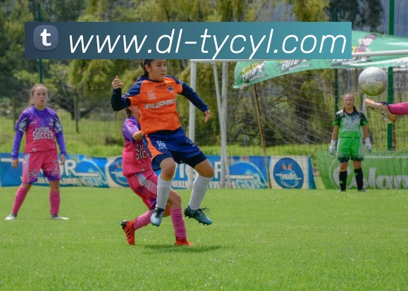 App Interface Preview