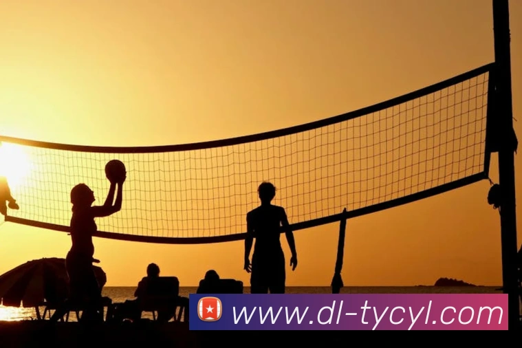 太阳城网站APP 封面图